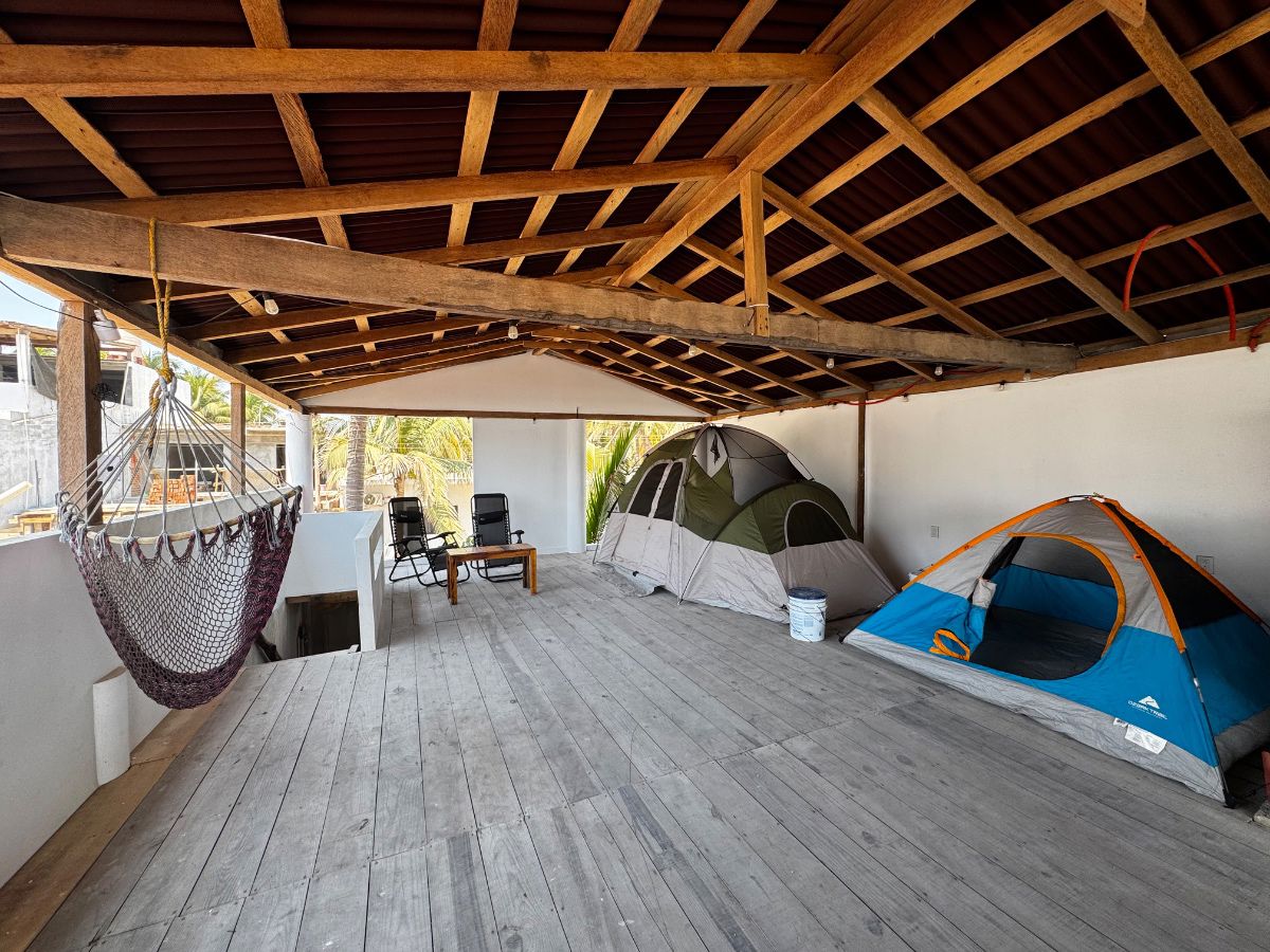 Disponibilidad para acampar ⛺️ - Imagen 3