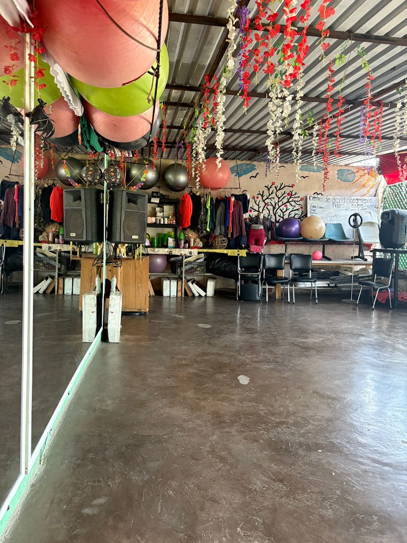 Baile fitness viickii - Imagen 1