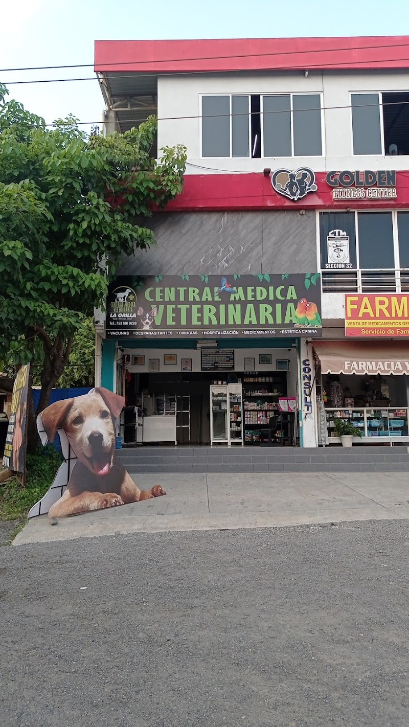 Central médica veterinaria