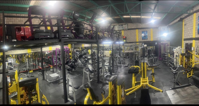 Más músculo fit - Imagen 1
