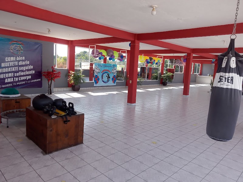 VIDSANFIT ( Vida Sana Fitness) - Imagen 1