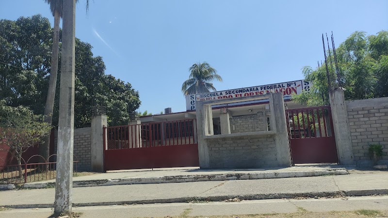 Secundaria Federal Ricardo Flores Magón