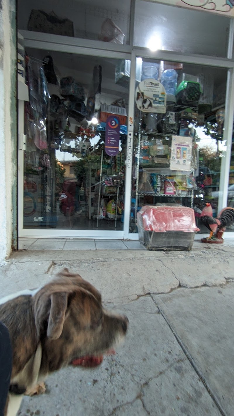 Veterinaria y Estética Canina Unicornios - Imagen 1