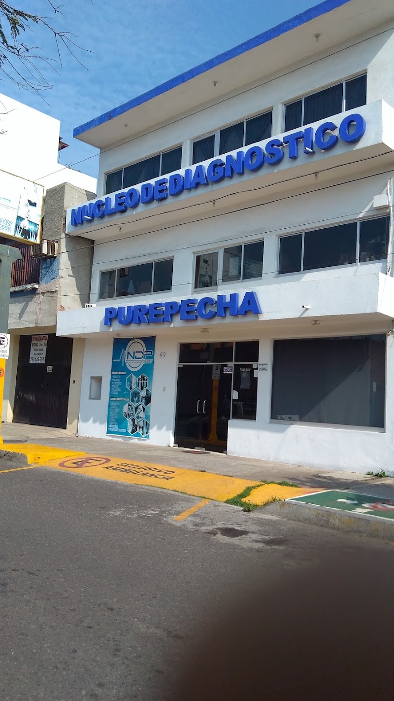 Núcleo de Diagnóstico Purépecha