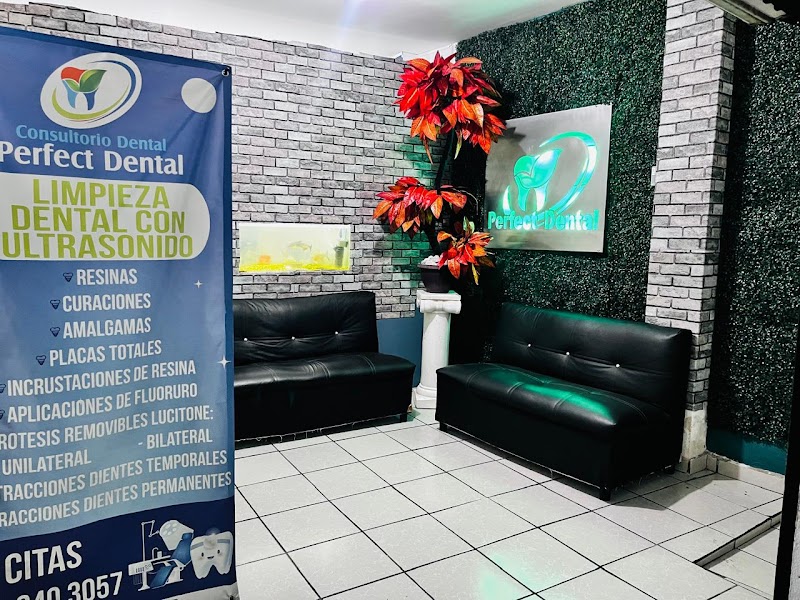 Dentista,Consultorio Dental Perfect Dental