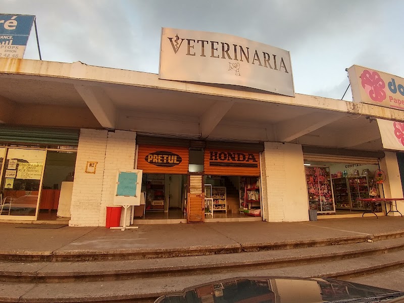 Veterinaria Rangel - Imagen 1