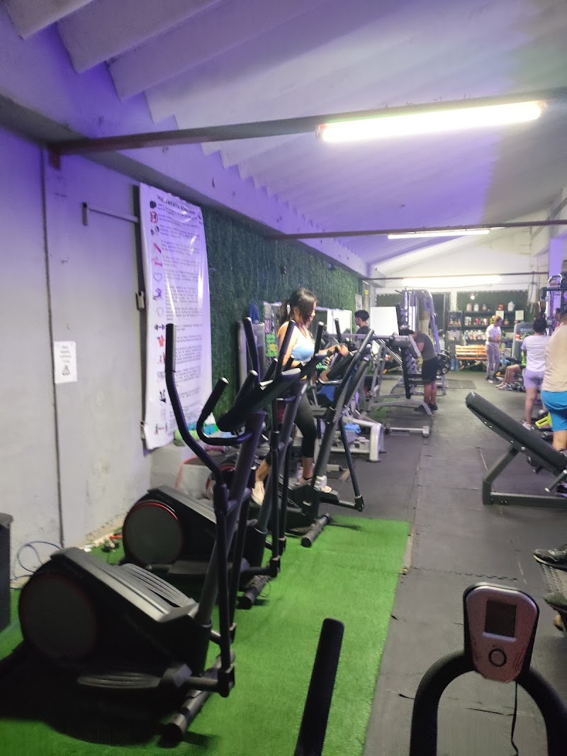 GR-4FIT - Imagen 1