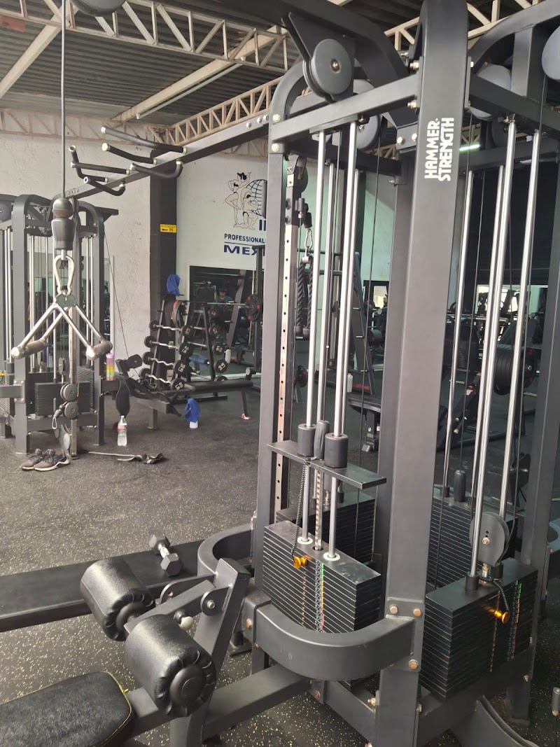 Gym Team 5 % - Imagen 1