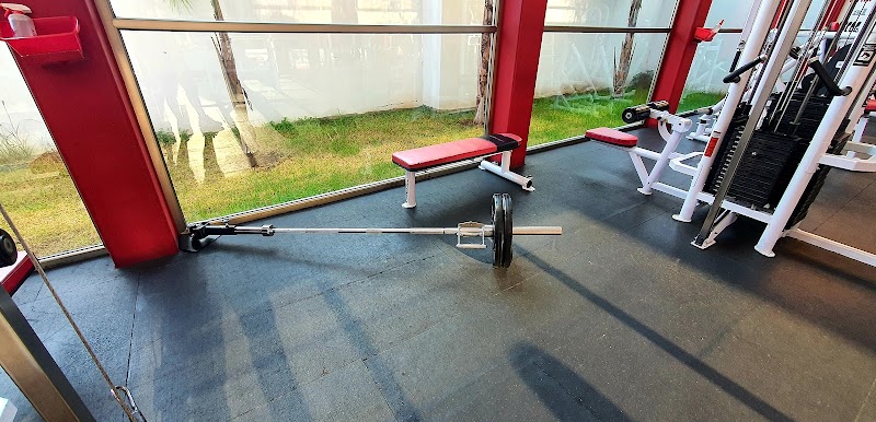 Elite Pro Gym Obrera - Imagen 1