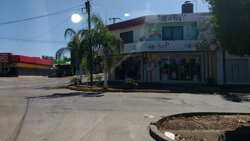 Bodega Lactigurt