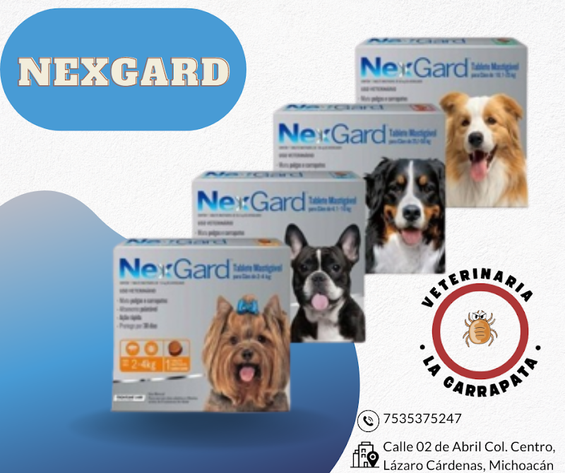 VETERINARIA LA GARRAPATA - Imagen 1