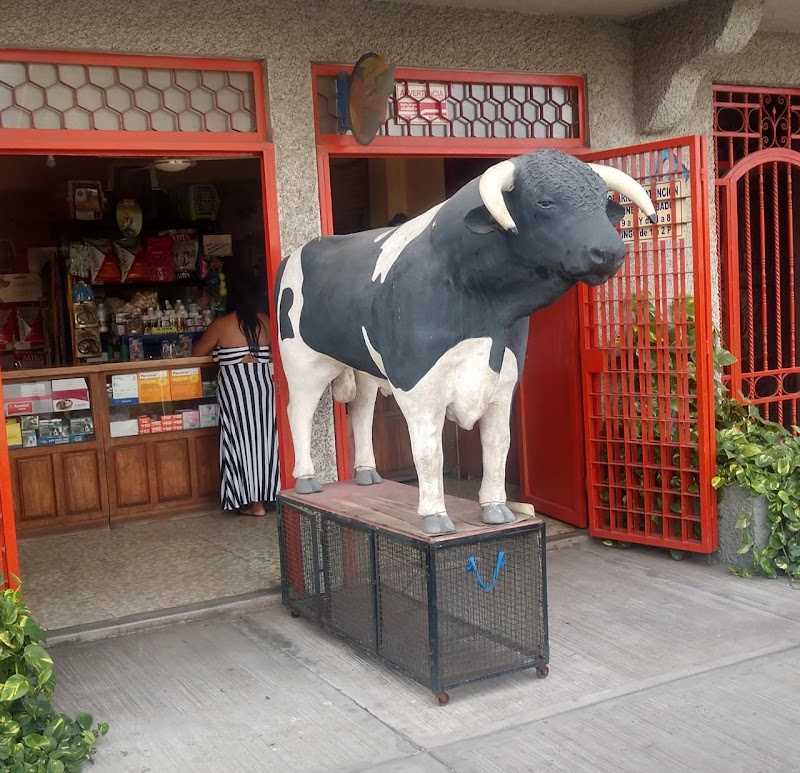 Veterinaria Y Mascotas - Imagen 1