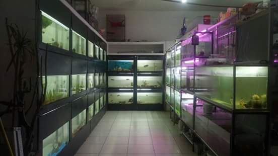 Clinica veterinaria Y Acuario Mascotas