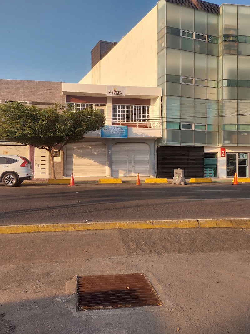 Vitadent - Imagen 1
