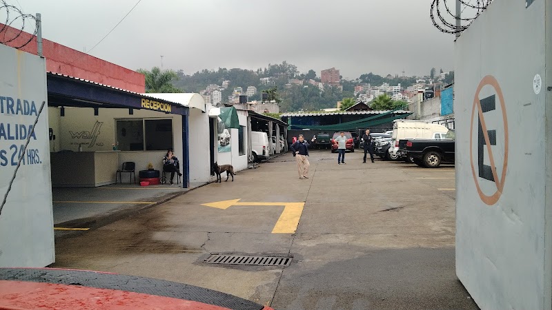 Servi Autos de Morelia