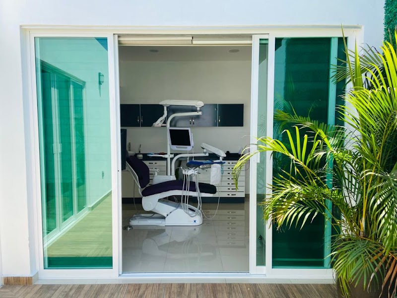 PRISMA DENTAL - Imagen 1