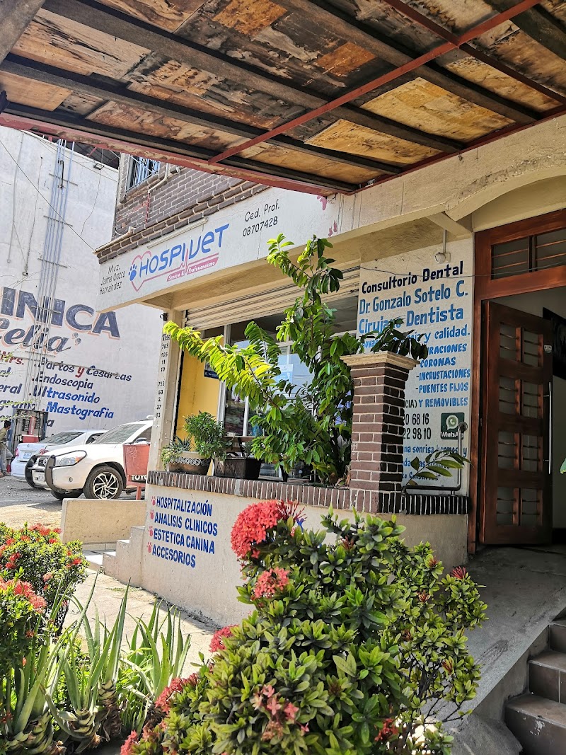 Hospivet - Imagen 1