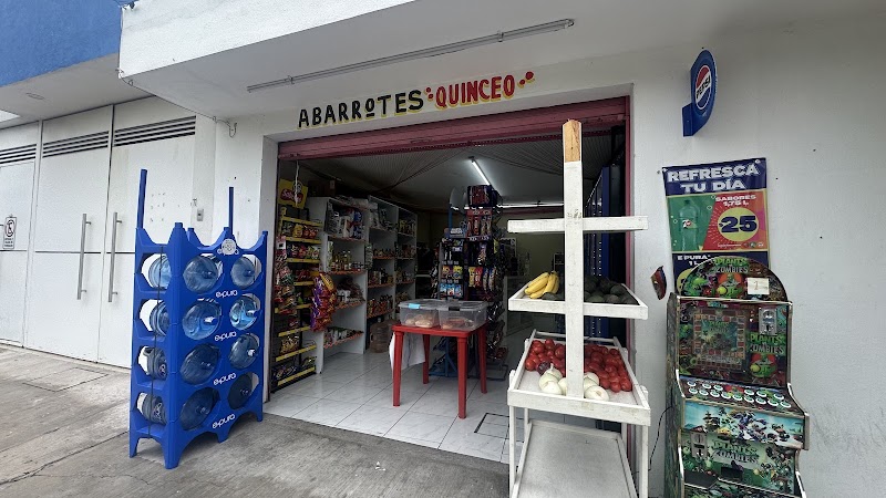 Abarrotes Quinceo