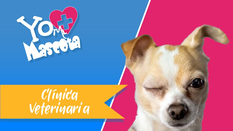 Veterinaria Mi Mascota