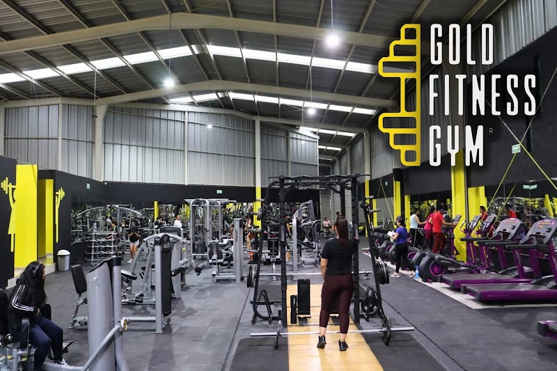 Gold Fitness Gym