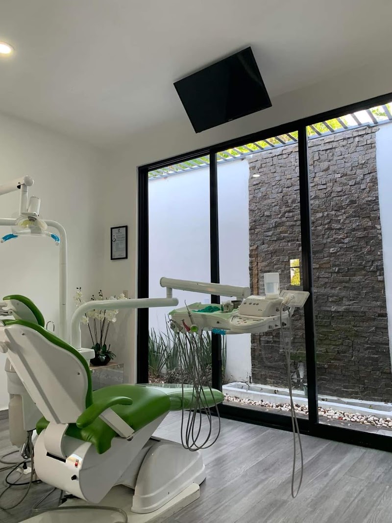 Dental Gamiño Lzc