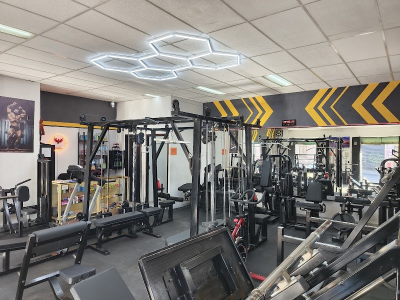 Gym High Energy