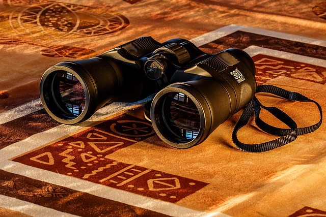 ekonogafas OPTICAS