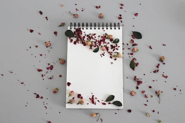 Papelería las flores
