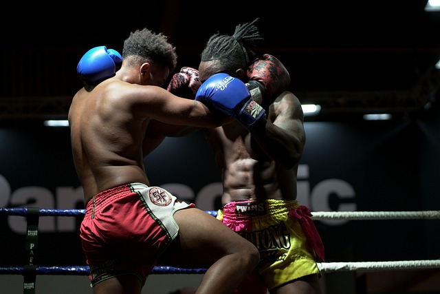 Escuela de Boxeo Los Reyes del Ring Morelia