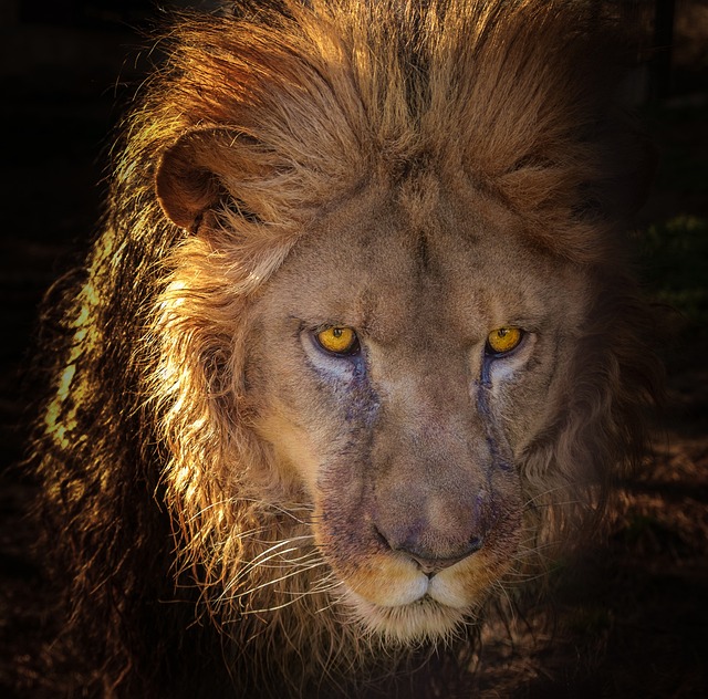 Zapatería leo
