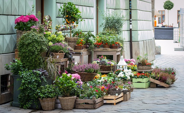 Flora - Tienda de Flores