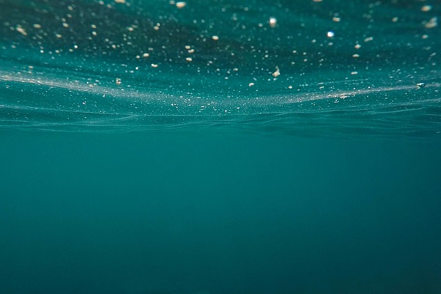 Purificadora de agua - Imagen 1