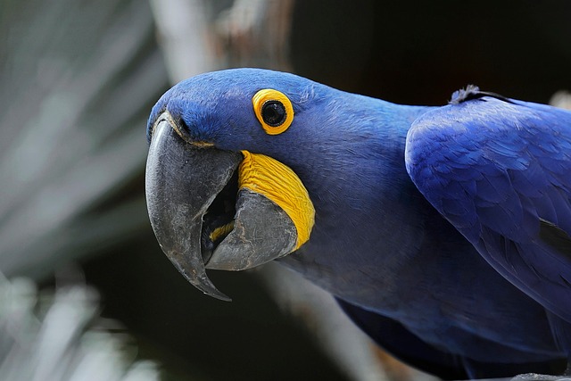 Farmapronto Guacamayas ZJ - Imagen 1