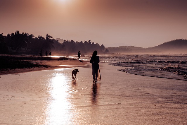 Zihuatanejo - Imagen 1