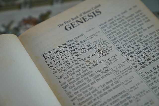 Abarrotes Genesis