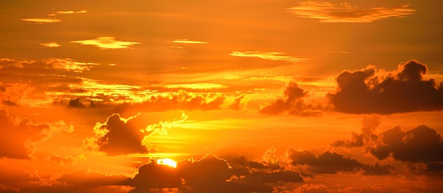Taquería del sol