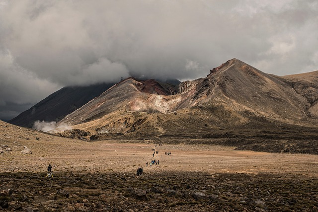 Vulcanizadora de volcanes EL Lobo